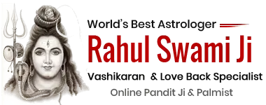 Astrologer Rahul Swami Ji